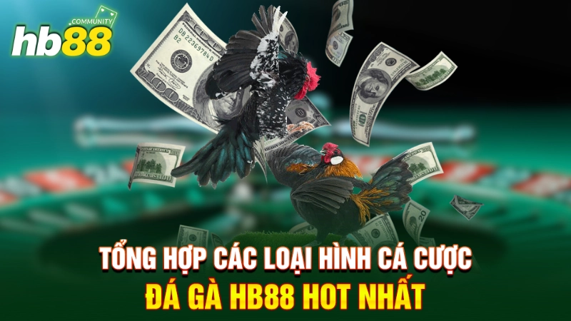 Tổng hợp các hình thức cá cược Đá gà HB88 hot nhất