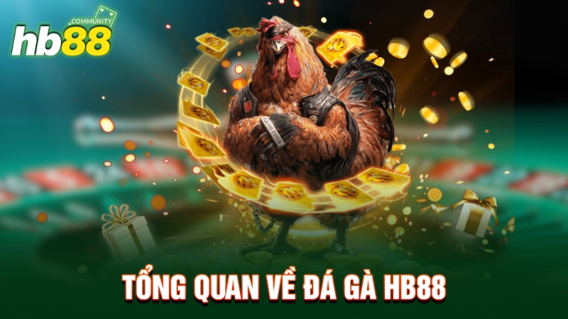 Tổng quan về đá gà HB88